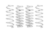 PRO-LIFT-KIT Springs (Front & Rear Springs)