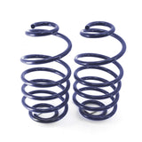 Rear dual rate springs, 2