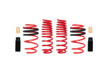 SPORTLINE Kit (Set of 4 Springs)