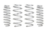 PRO-LIFT-KIT Springs (Front & Rear Springs)