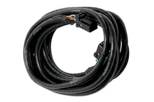 Load image into Gallery viewer, Haltech CAN Cable 8 pin Blk Tyco 8 pin Blk Tyco 3000mm (120 In..