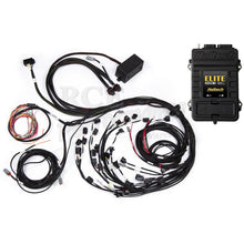 Load image into Gallery viewer, Elite 2500T- Ford Falcon BA/BF Barra Terminated Harness kit