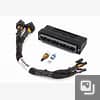 Elite 1000/1500 Honda AP1 S2000 Plug 'n' Play Adaptor Harness Only.