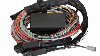 Elite 2500 - 2.5m (8 ft) Premium Uni Wire-in Harness