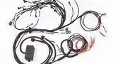 E2000/2500 RB Terminated Engine Harness Only